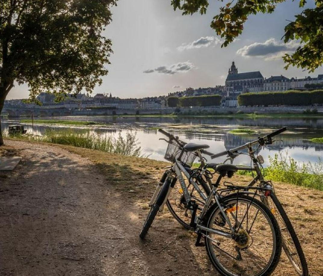 Gite Ker Sologne Chambord Huisseau-sur-Cosson Esterno foto